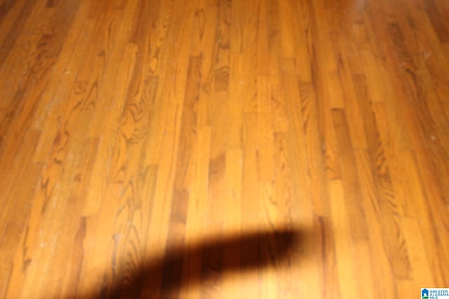 details featuring hardwood / wood-style floors