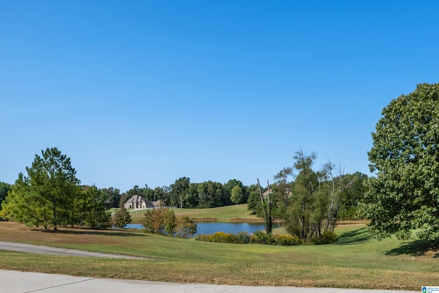 property view of water