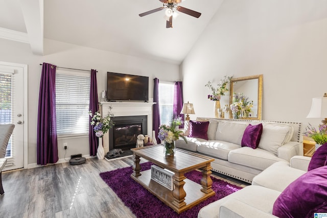 living room featuring beamed ceiling, ceiling fan, wood-type flooring, and plenty of natural light