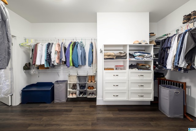 spacious closet featuring dark hardwood / wood-style floors