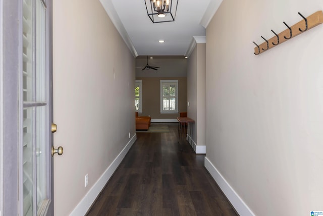 corridor featuring crown molding, dark hardwood / wood-style flooring, and a chandelier