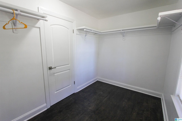 spacious closet with dark wood-type flooring