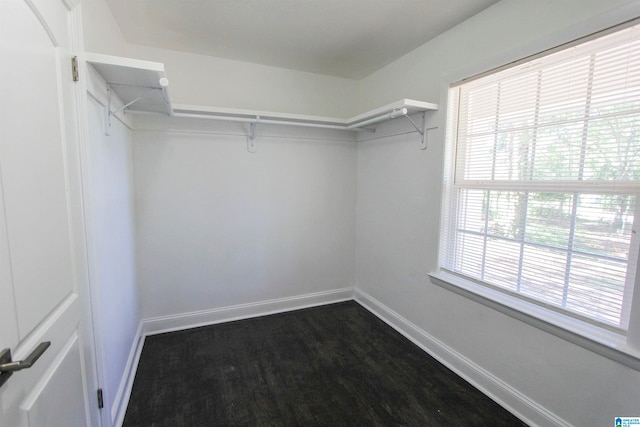 spacious closet with wood-type flooring