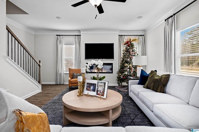 living room featuring ceiling fan, dark hardwood / wood-style flooring, and crown molding