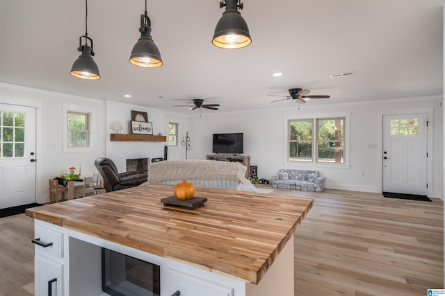 21023 Monroe Dunn Rd, Berry, AL 35546 - dining room featuring light wood-type flooring, ceiling fan, and plenty of natural light