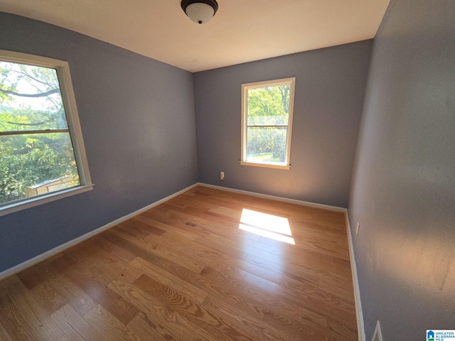 unfurnished room featuring wood-type flooring and a healthy amount of sunlight
