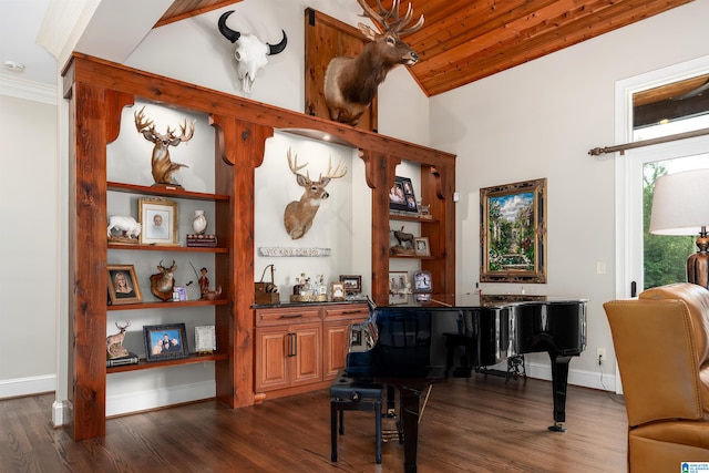 misc room featuring lofted ceiling, dark wood-type flooring, and wooden ceiling