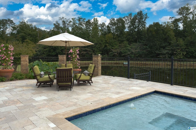 view of swimming pool with a patio area