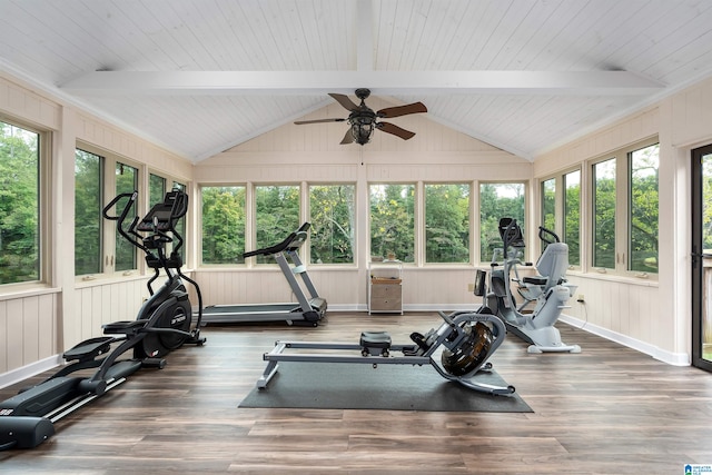 workout room featuring ceiling fan, vaulted ceiling, dark hardwood / wood-style flooring, and a wealth of natural light