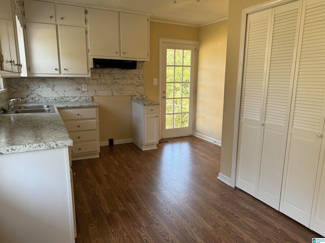 kitchen with tasteful backsplash, crown molding, sink, and dark hardwood / wood-style flooring