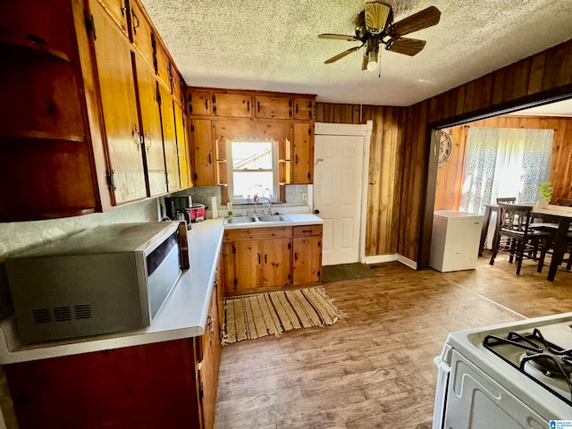 kitchen with wooden walls, ceiling fan, sink, and light hardwood / wood-style flooring