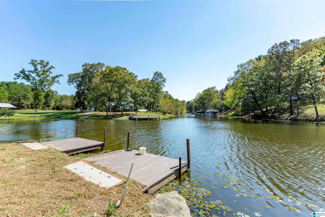 dock area featuring a water view