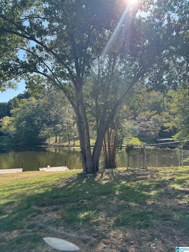 view of yard with a water view and a dock