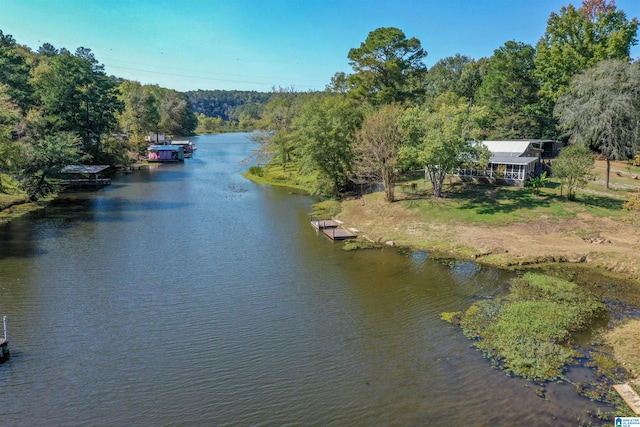 property view of water