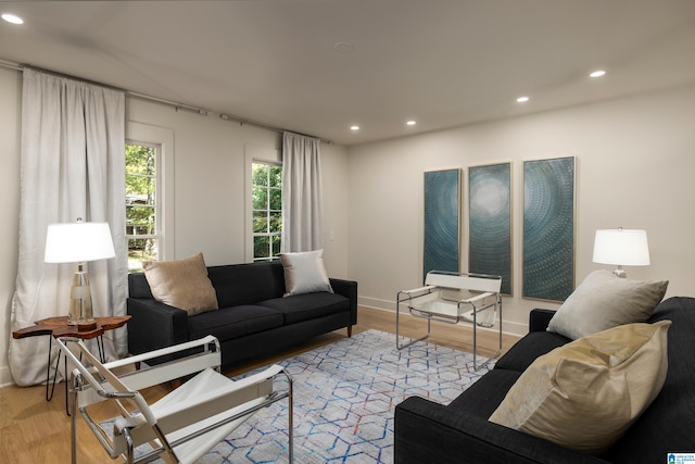 living room featuring light hardwood / wood-style flooring