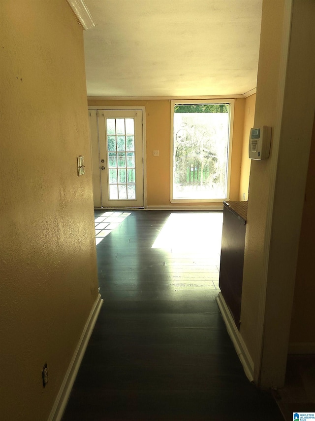 hallway with dark hardwood / wood-style flooring