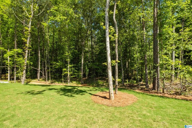 1146 Grey Oaks Vly, Pelham, AL 35124 - view of green lawn