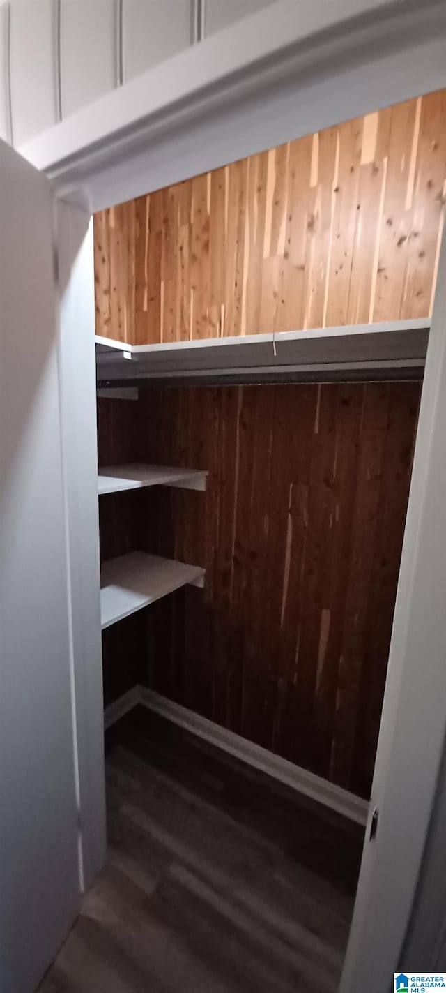 spacious closet featuring dark hardwood / wood-style floors