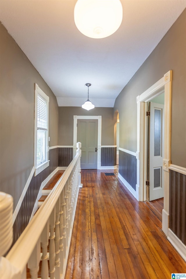 hall with wooden walls and dark hardwood / wood-style floors