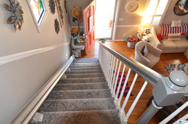 staircase featuring wood-type flooring and a wealth of natural light