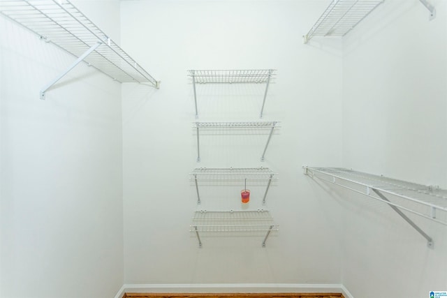 spacious closet with wood-type flooring