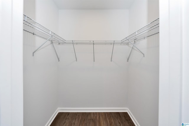 walk in closet with wood-type flooring