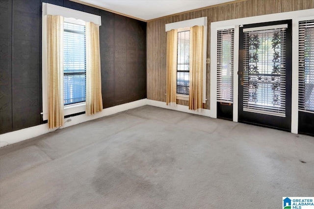 carpeted empty room with wood walls