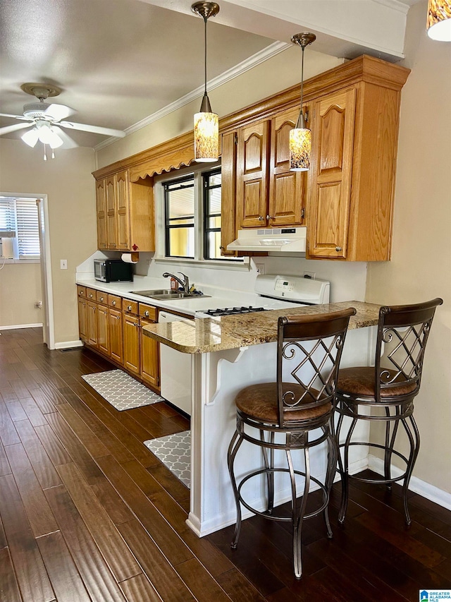 kitchen featuring a healthy amount of sunlight, white dishwasher, dark hardwood / wood-style floors, and hanging light fixtures