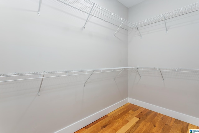 walk in closet featuring hardwood / wood-style flooring