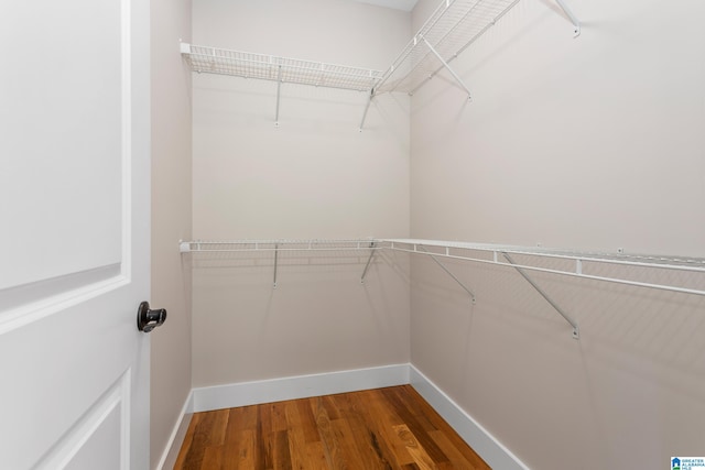 spacious closet featuring hardwood / wood-style floors