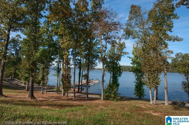 view of water feature featuring a dock