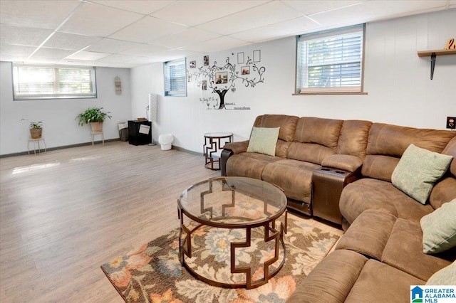 living room with a drop ceiling and light hardwood / wood-style floors