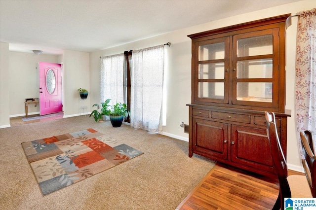 sitting room featuring hardwood / wood-style floors