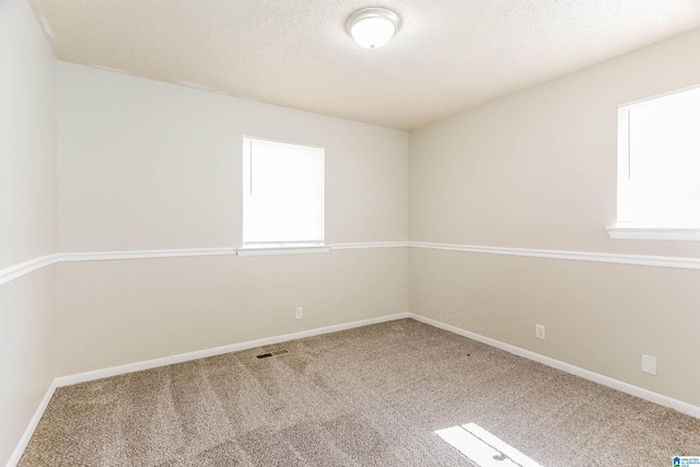 empty room featuring a textured ceiling and carpet flooring