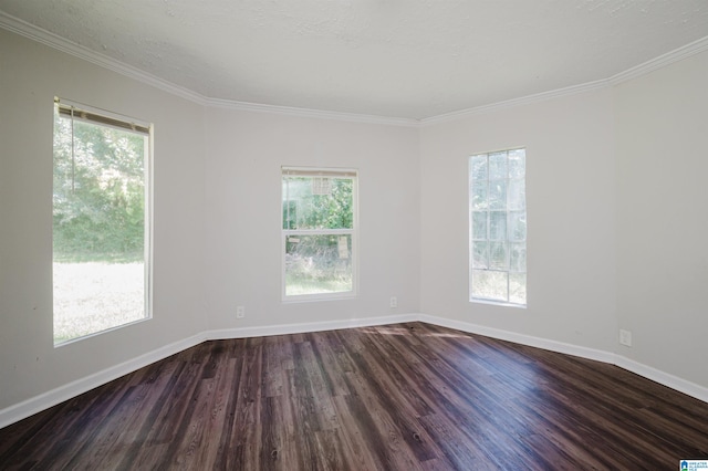 spare room featuring dark wood-type flooring, crown molding, and a wealth of natural light