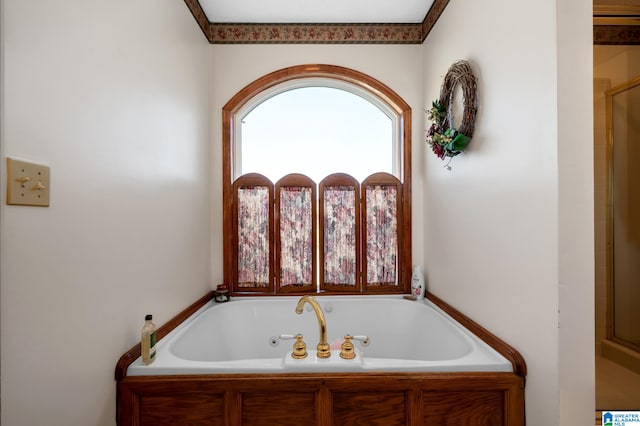 bathroom with crown molding and independent shower and bath