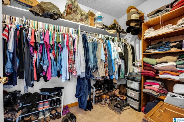 walk in closet with carpet floors