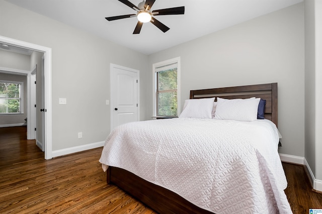 bedroom featuring dark hardwood / wood-style flooring, multiple windows, and ceiling fan