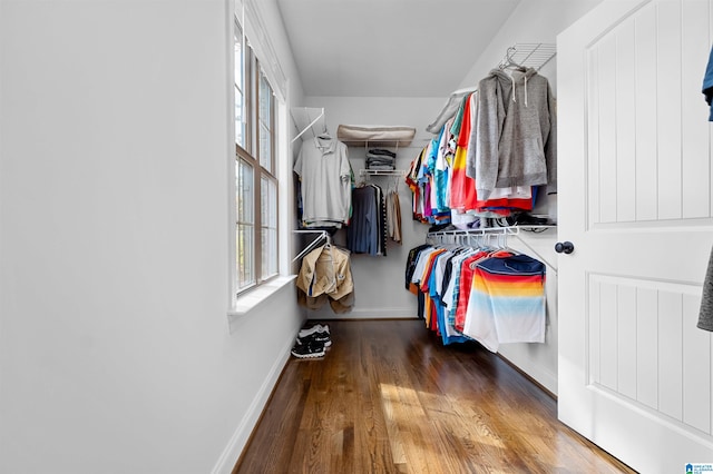 walk in closet featuring hardwood / wood-style flooring