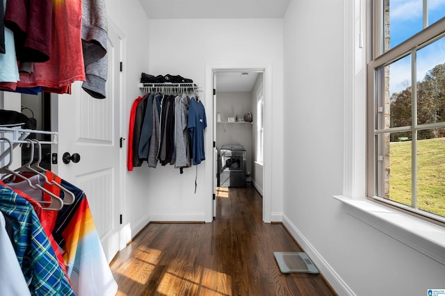 spacious closet featuring dark hardwood / wood-style flooring