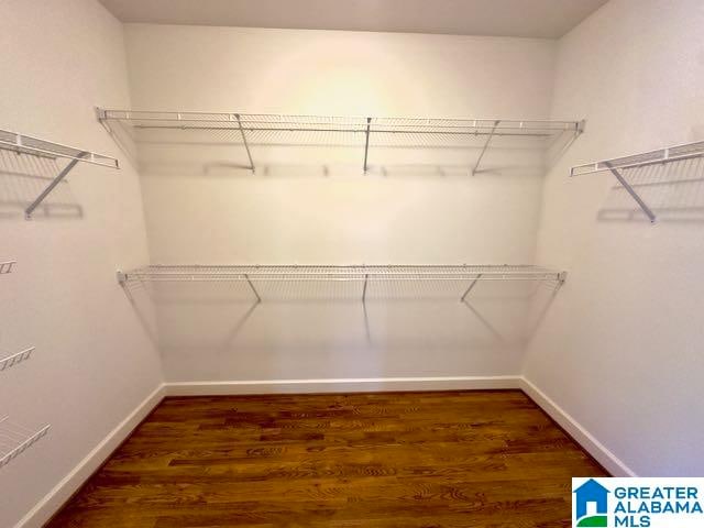 spacious closet featuring dark wood-type flooring