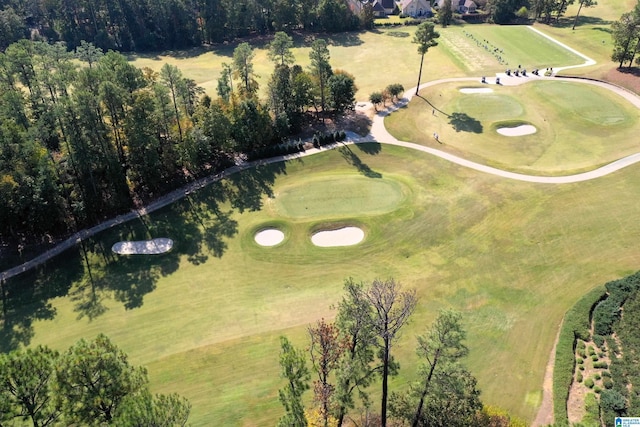 181 Cambrian Way Unit 181, Birmingham, AL 35242 - aerial overview of property's location with a golf course