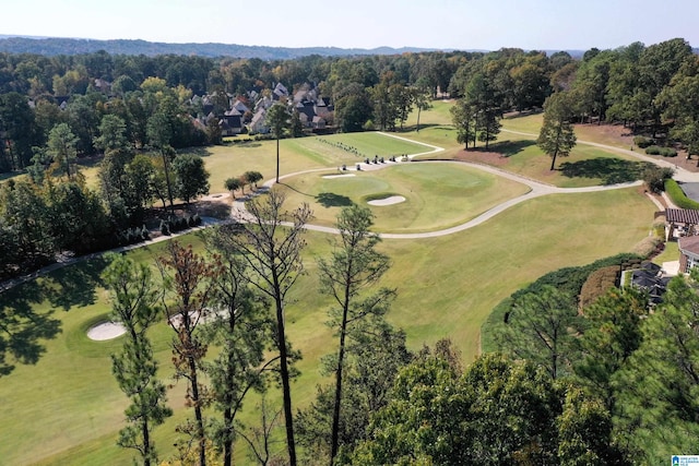 bird's eye view