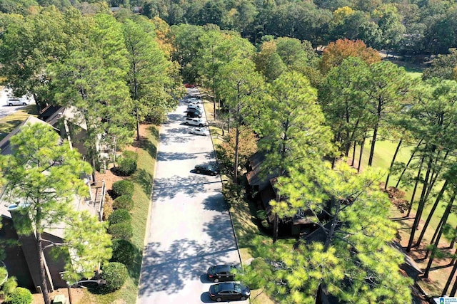 181 Cambrian Way Unit 181, Birmingham, AL 35242 - drone / aerial view of a forest