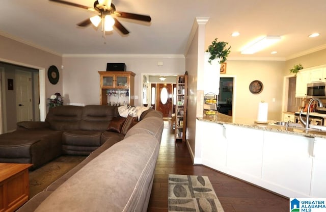 living room featuring crown molding, dark hardwood / wood-style flooring, ceiling fan, and sink