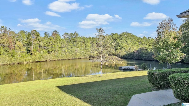 view of water feature