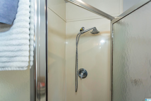 details with a shower with shower door