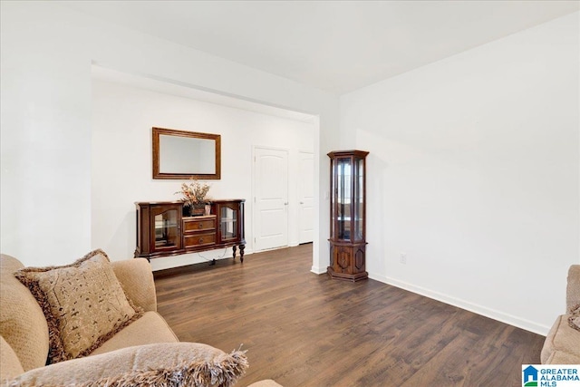 living room with dark hardwood / wood-style floors