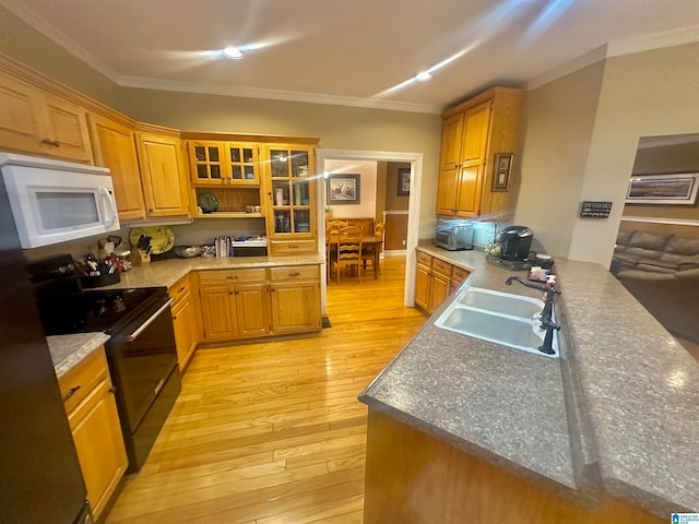 kitchen featuring ornamental molding, stainless steel range with electric cooktop, sink, and light hardwood / wood-style flooring