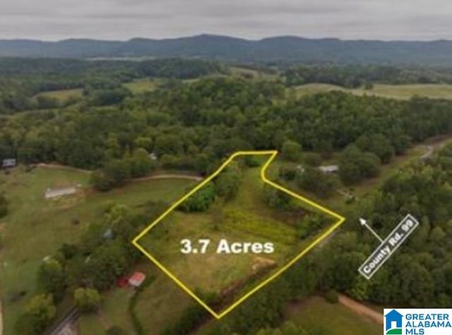 00 County Road 99 Unit 0, Gaylesville AL, 35973 land for sale